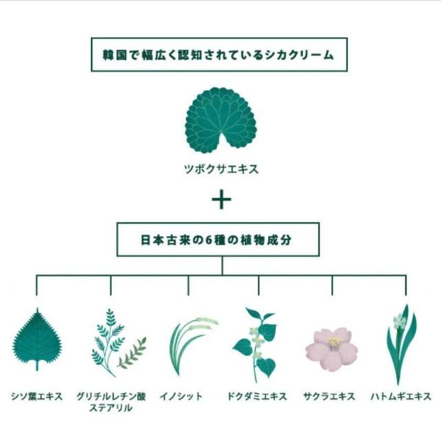 RWbg COGIT CICA method CREAM VJ VJ\bhN[ 򕔊Oi VJN[ r jLrێ  /RX/lC 