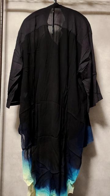 AViKMRiiPGeorgette Combi Long Shirt / GD@W/1