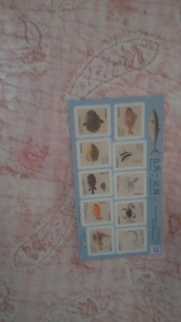 ���R�̋L�^�V���[�Y��T�W 