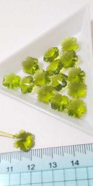 nhChp[c΂̉Ԃ̃LLp[cT 