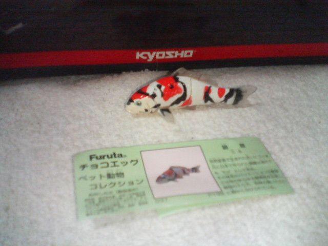 フルタ ペット動物2 錦鯉 三色 < ホビー フルタ ペット動物2 錦鯉 三色 < ホビーの