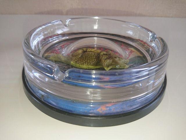KXDM  DINOSAUR  CeA/Ct 