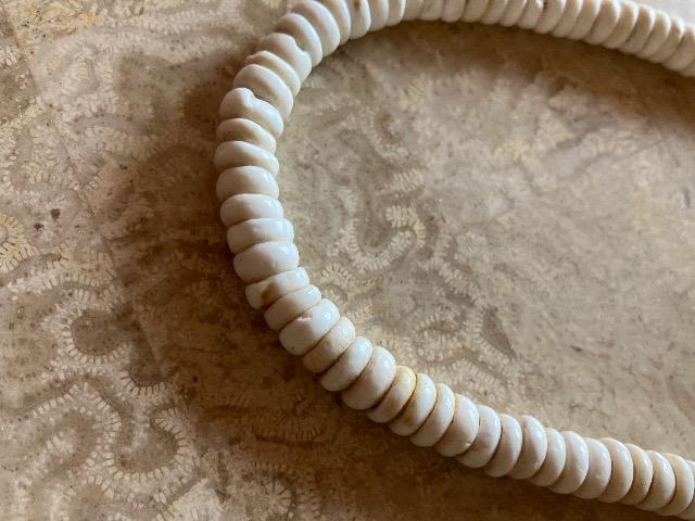 シェル貝ネックレス☆サーファー < 男性アクセサリー/時計  シェル貝ネックレス☆サーファー < 男性アクセサリー/時計の