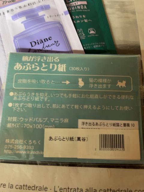 _CAVv[낿@o邠ԂƂ莆