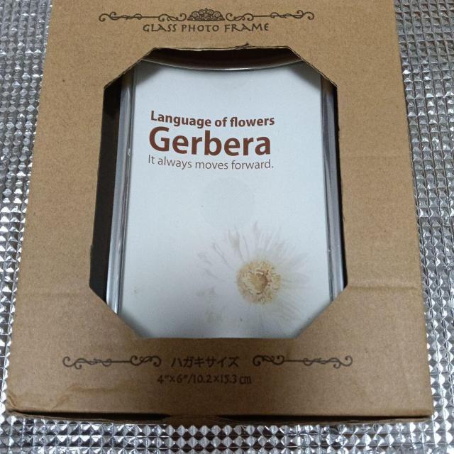 Gerbera �t�H�g�t���[�� 4x6/10.2�~15.3cm�@�n�K�L�T�C�Y  �� �C���e���A/���C�t�� 