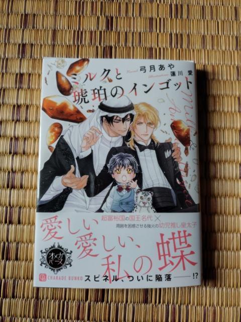 1月新刊 ミルクと琥珀のインゴット 弓月あや/蓮川愛 < 本/雑誌 1月新刊 ミルクと琥珀のインゴット 弓月あや/蓮川愛 < 本/雑誌の