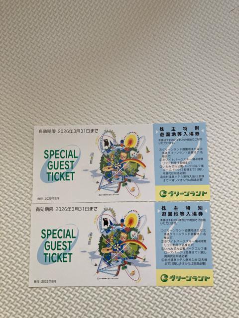 グリーンランド 入園券 2枚 < チケット/金券 グリーンランド 入園券 2枚 < チケット/金券の
