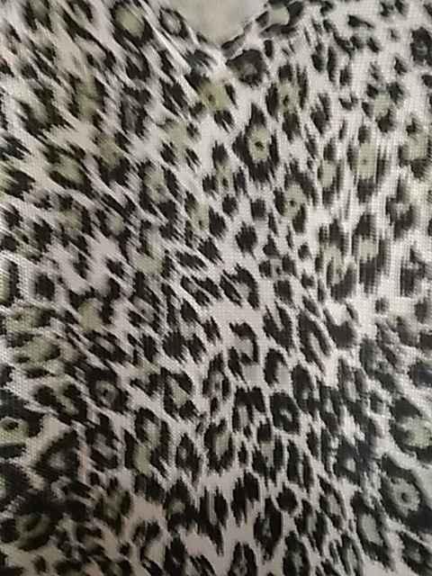 送料無料 新品 PHONIC Мサイズレディースカットソー トップス < 女性ファッション 送料無料 新品 PHONIC Мサイズレディースカットソー トップス < 女性ファッションの