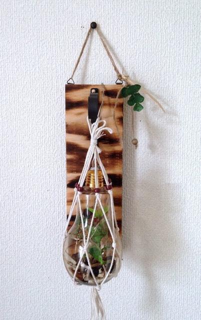 nhChre[Wou{g Ǐ LEDCg  Ɠd/AV 