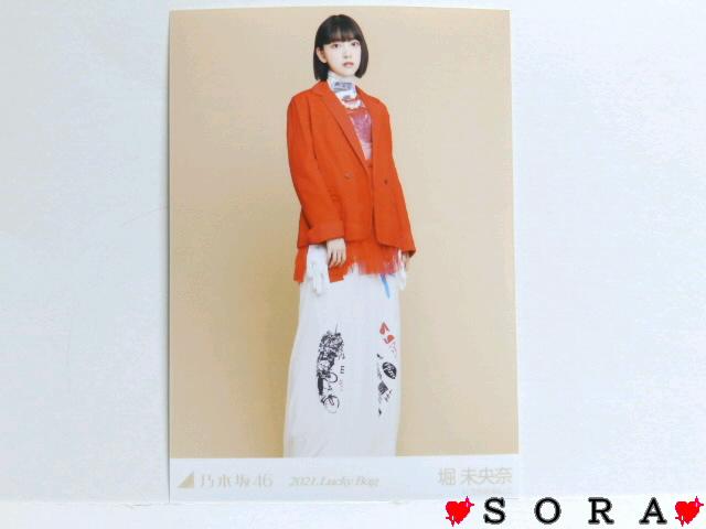 【乃木坂46/堀未央奈】2021年 Lucky Bag 福袋♪生写真 < タレントグッズ  【乃木坂46/堀未央奈】2021年 Lucky Bag 福袋♪生写真  < タレントグッズの