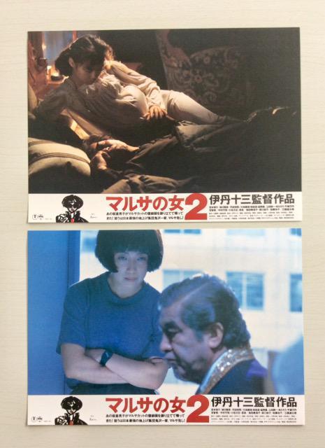 �f��w�}���T�̏�2�x���r�[�J�[�h8���g�I  �� �z�r�[�� 