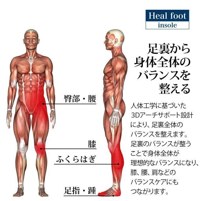 ɂyViz艿1,490~ՌzC\[hLʁ24cm 25cm 26cm 27cm  jt@bV 