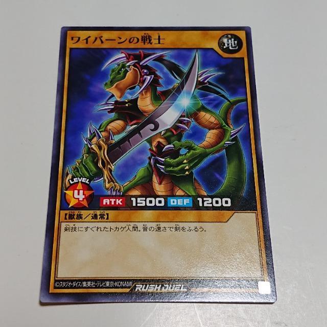 VYbVfG Co[̐m m[} m[} RD/GRP1 g[fBOJ[h 