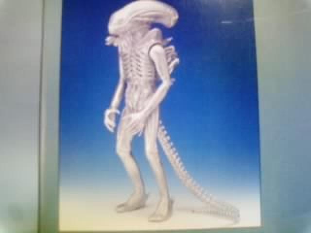 エイリアン◆トイザラス限定品 < ホビー  エイリアン◆トイザラス限定品 < ホビーの