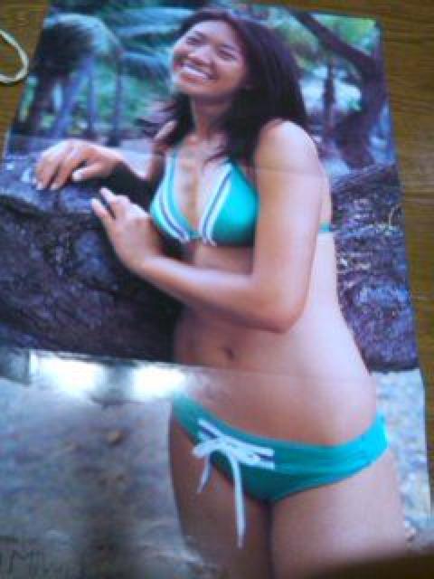 送料込み・浅尾美和・谷桃子〜雑誌付録の両面ピンナップ < タレントグッズ  送料込み・浅尾美和・谷桃子〜雑誌付録の両面ピンナップ  < タレントグッズの