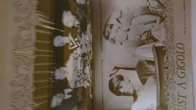 JUST A GIGOLO パンフレット < ホビー  JUST A GIGOLO パンフレット < ホビーの