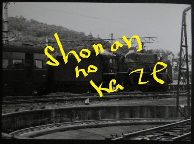 ucTPSTv̋MdȃLrlTCY̎ʐ^   zr[ 