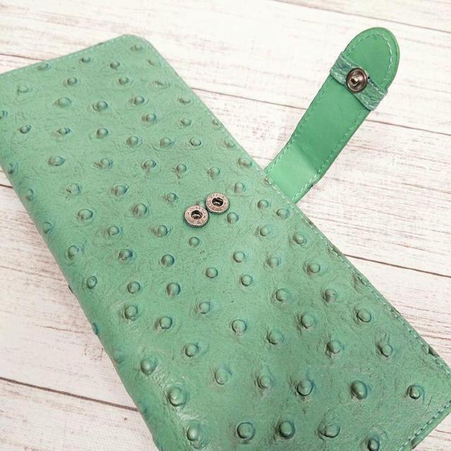 I[Xgb`@ړIJ[hP[X CG[ L@Vi  t@bV 