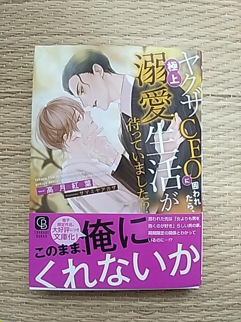 SV@@NUbdOɈ͂ꂽAɏM҂Ă܂IH 