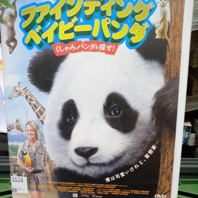 �t�@�C���f�B���O�@�x�C�r�[�p���_  �� CD/DVD/�r�f�I�� 