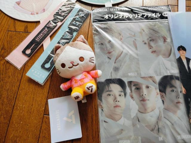 SEVENTEEN Wn JEONGHAN  L ʂ QbW^O  ^gObY 