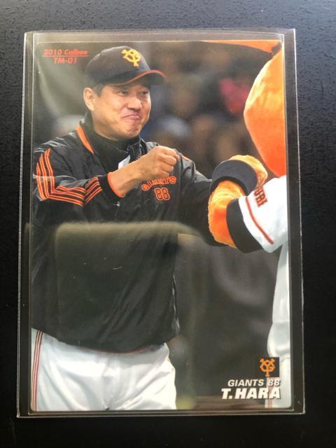 QOPOJr[싅2e/sl-OPEǔlECmTEAMo[J|hn   g[fBOJ[h 