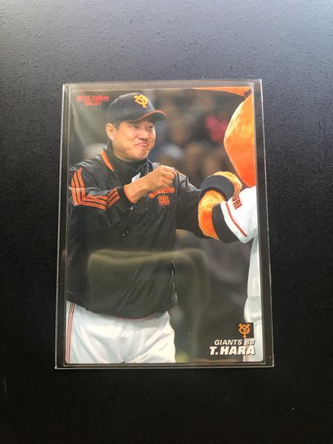 QOPOJr[싅2e/sl-OPEǔlECmTEAMo[J|hn  g[fBOJ[h 