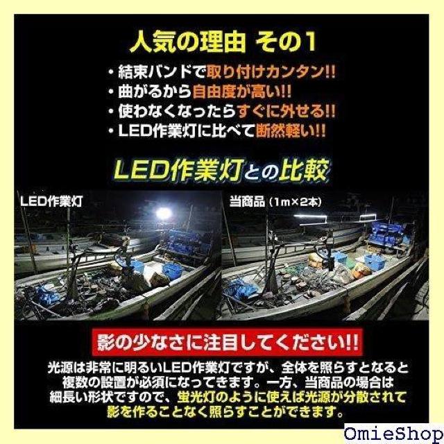 LED テープライト 作業灯 デッキライト 防水 12 ーカラー 白/黒 TPD12v-1m-30w-white 980 < 自動車/バイク LED テープライト 作業灯 デッキライト 防水 12 ーカラー 白/黒 TPD12v-1m-30w-white 980 < 自動車/バイク