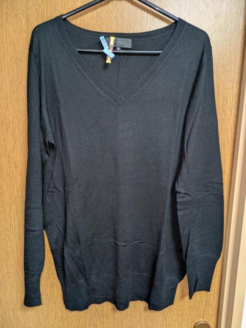 アンタイトル昨季美品黒シルクカシミヤ混長袖Vネックセーター大きいサイズ411号12号ハイゲージニットジャケットインナーニット < ブランド アンタイトル昨季美品黒シルクカシミヤ混長袖Vネックセーター大きいサイズ411号12号ハイゲージニットジャケットインナーニット < ブランドの