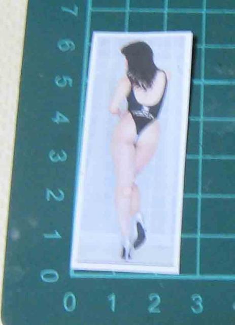 �Z�N�V�[�����@���p�@�X�e�b�J�[  �� �z�r�[�� 