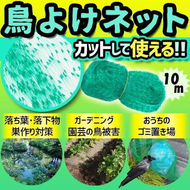 悯lbg lbg 10 悯 | K[fjO S~u b ΍  Q x_ oRj[    CeA/Ct 