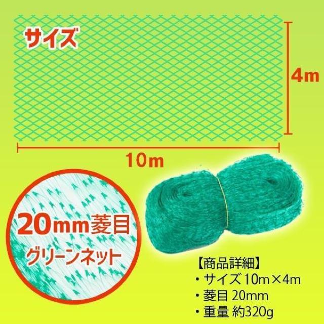 悯lbg lbg 10 悯 | K[fjO S~u b ΍  Q x_ oRj[   CeA/Ct 