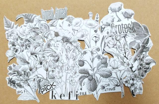 モノクロ 植物柄/シール/コラージュなど < インテリア/ライフ  モノクロ 植物柄/シール/コラージュなど  < インテリア/ライフの