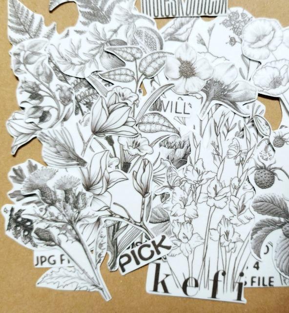 モノクロ 植物柄/シール/コラージュなど < インテリア/ライフ  モノクロ 植物柄/シール/コラージュなど < インテリア/ライフの