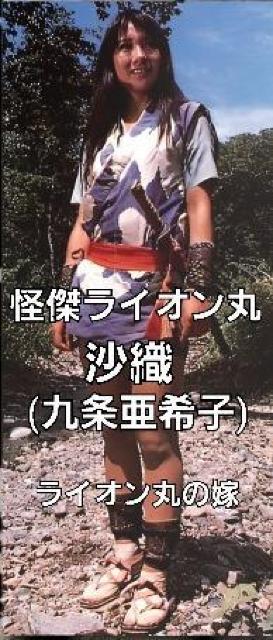 新品☆タペストリー怪傑ライオン丸ヒロイン沙織☆九条亜希子 < インテリア/ライフ 新品☆タペストリー怪傑ライオン丸ヒロイン沙織☆九条亜希子 < インテリア/ライフの