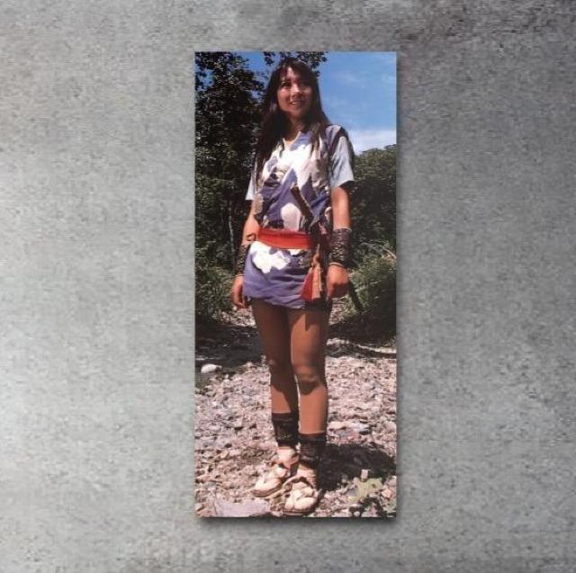 新品☆タペストリー怪傑ライオン丸ヒロイン沙織☆九条亜希子 < インテリア/ライフ 新品☆タペストリー怪傑ライオン丸ヒロイン沙織☆九条亜希子 < インテリア/ライフの