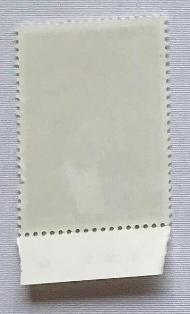 یȈ wҁ@a250N@80~@؎@1996N@8N@CM@J[}[N  zr[ 