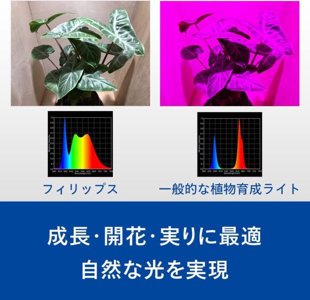 Philips(フィリップス) 植物育成ライト LED 植物 ライト 観葉植物 育成ライト USBライト 植物用ledライト < ペット/手芸/園芸  Philips(フィリップス) 植物育成ライト LED 植物 ライト 観葉植物 育成ライト USBライト 植物用ledライト < ペット/手芸/園芸の