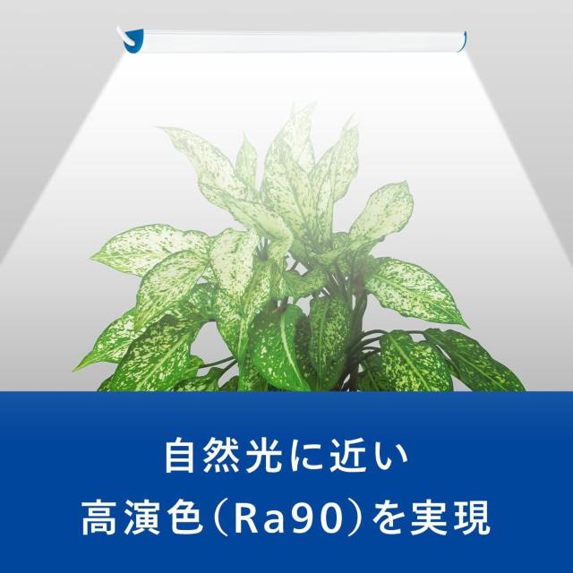 Philips(フィリップス) 植物育成ライト LED 植物 ライト 観葉植物 育成ライト USBライト 植物用ledライト < ペット/手芸/園芸  Philips(フィリップス) 植物育成ライト LED 植物 ライト 観葉植物 育成ライト USBライト 植物用ledライト < ペット/手芸/園芸の
