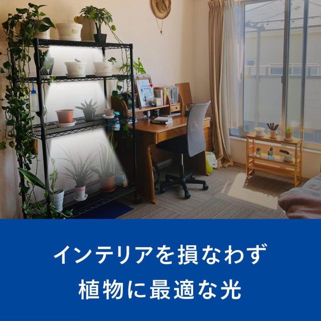 Philips(フィリップス) 植物育成ライト LED 植物 ライト 観葉植物 育成ライト USBライト 植物用ledライト < ペット/手芸/園芸  Philips(フィリップス) 植物育成ライト LED 植物 ライト 観葉植物 育成ライト USBライト 植物用ledライト < ペット/手芸/園芸の