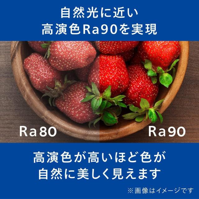 Philips(フィリップス) 植物育成ライト LED 植物 ライト 観葉植物 育成ライト USBライト 植物用ledライト < ペット/手芸/園芸  Philips(フィリップス) 植物育成ライト LED 植物 ライト 観葉植物 育成ライト USBライト 植物用ledライト < ペット/手芸/園芸の