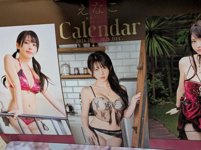 ����A�N�V�������Ȃ��������J�����_�[  �� �{/�G���� 