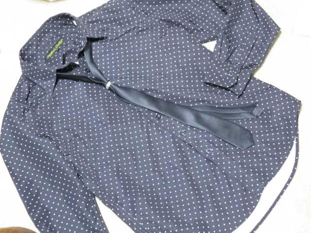 未使用☆ドット模様*ネクタイ付シャツ*レディース*長袖 < 女性ファッション  未使用☆ドット模様*ネクタイ付シャツ*レディース*長袖  < 女性ファッションの