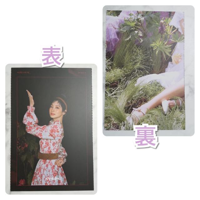 TWICE★ダヒョン ★特典トレカ&ポストカードなど★3点【公式】 < タレントグッズ  TWICE★ダヒョン ★特典トレカ&ポストカードなど★3点【公式】 < タレントグッズの