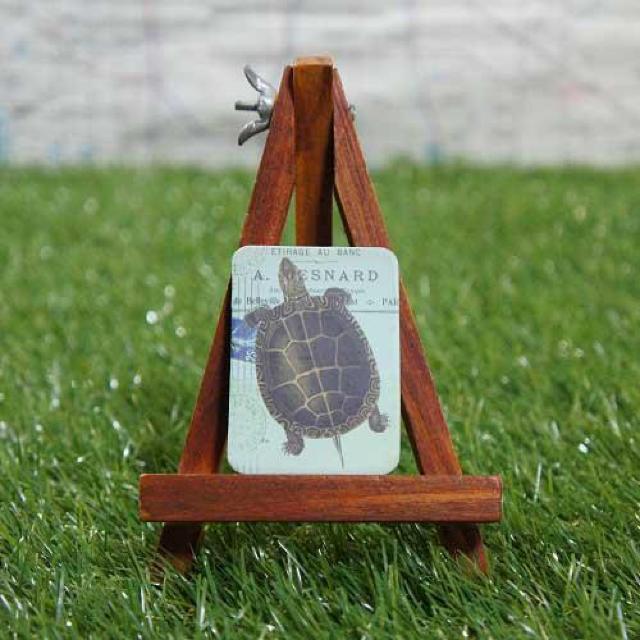新品【マグネット】Turtle/カメ -クサガメ- < インテリア/ライフ  新品【マグネット】Turtle/カメ -クサガメ-  < インテリア/ライフの