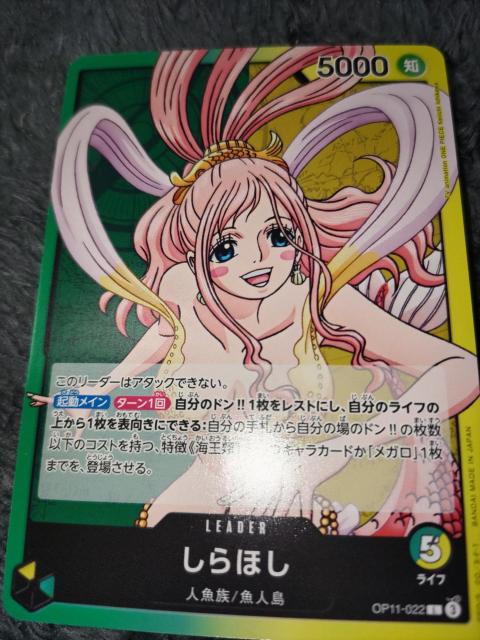 s[XJ[h[_[ق_̌   g[fBOJ[h 