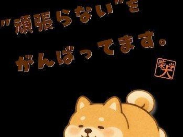 nCNIeB[ TVc  j[N  t@bV 