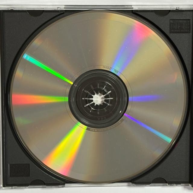 Terence Trent D'Arby / Terence Trent D'Arby's Neither Fish Nor 〜 < CD/DVD/ビデオ Terence Trent D'Arby / Terence Trent D'Arby's Neither Fish Nor 〜 < CD/DVD/ビデオの