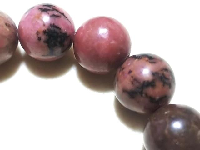 �V�R�΁����[�h�i�C�g�@�P�O�����@�u���X �� �����A�N�Z�T���[/���v�� 