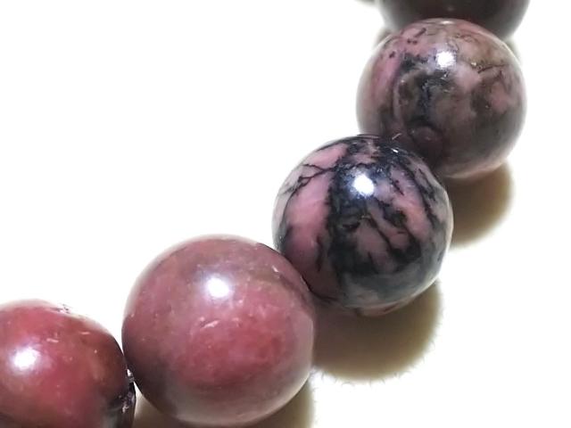 �V�R�΁����[�h�i�C�g�@�P�O�����@�u���X �� �����A�N�Z�T���[/���v�� 